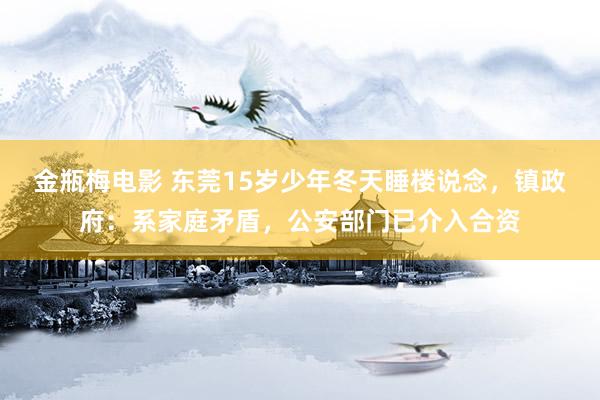 金瓶梅电影 东莞15岁少年冬天睡楼说念，镇政府：系家庭矛盾，公安部门已介入合资