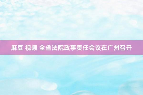 麻豆 视频 全省法院政事责任会议在广州召开