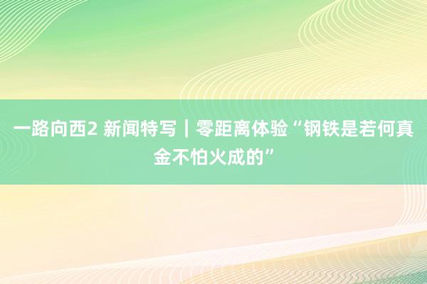 一路向西2 新闻特写｜零距离体验“钢铁是若何真金不怕火成的”
