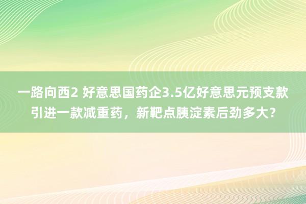 一路向西2 好意思国药企3.5亿好意思元预支款引进一款减重药，新靶点胰淀素后劲多大？