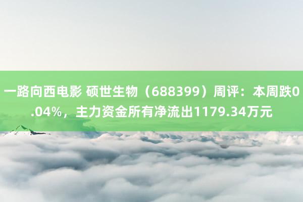 一路向西电影 硕世生物（688399）周评：本周跌0.04%，主力资金所有净流出1179.34万元