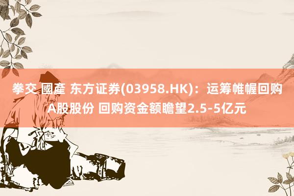 拳交 國產 东方证券(03958.HK)：运筹帷幄回购A股股份 回购资金额瞻望2.5-5亿元