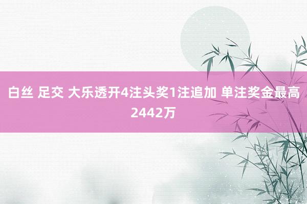 白丝 足交 大乐透开4注头奖1注追加 单注奖金最高2442万